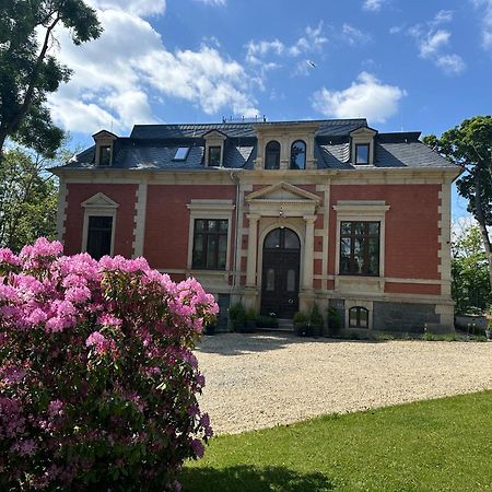 * Stadtvilla Plauen * * Aussergewoehnlich * 2 Zimmerwohnung * Zentrumsnah Dış mekan fotoğraf